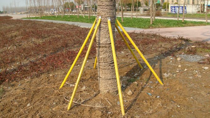 園林樹木固定支架、支撐架配件